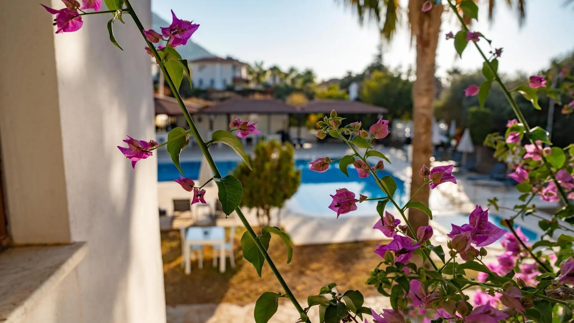 Отель Carrington Suites Олудениз